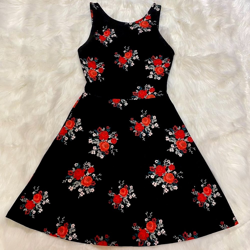 Black Floral Rose Bouquet Fit & Flare Skater Dress